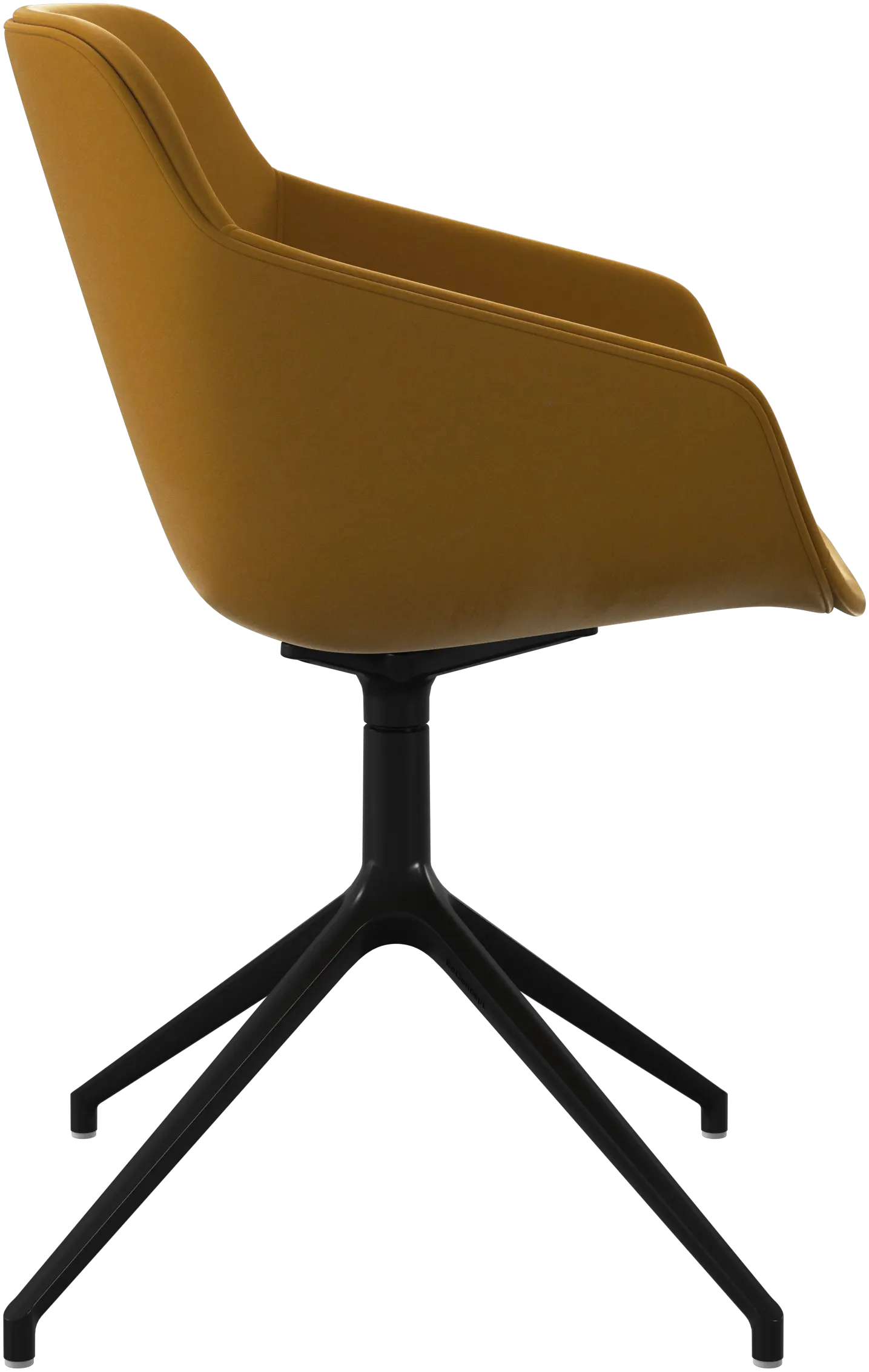 2771137_PNG-Web 72dpi.png?